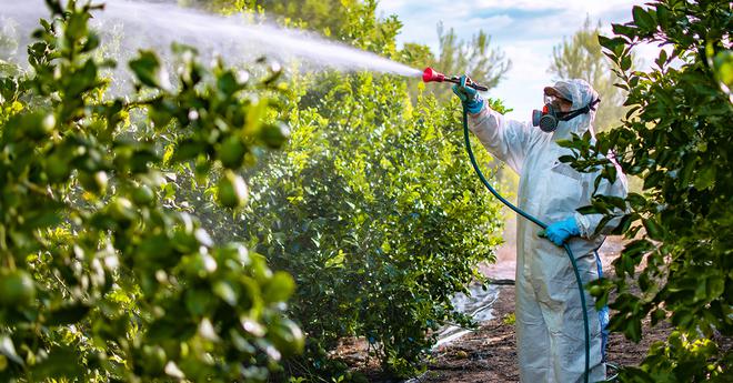 Pesticides : après la décision du Conseil d’Etat, les maires contre-attaquent pour mieux les réglementer