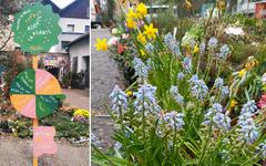 Adopte une plante : à Strasbourg, une association sauve les plantes destinées à la benne