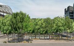 Piétonnisation du cours Charlemagne : 46 arbres plantés par la Métropole de Lyon