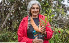 Jane Wynne, l'infatigable Haïtienne qui veut sauver la planète