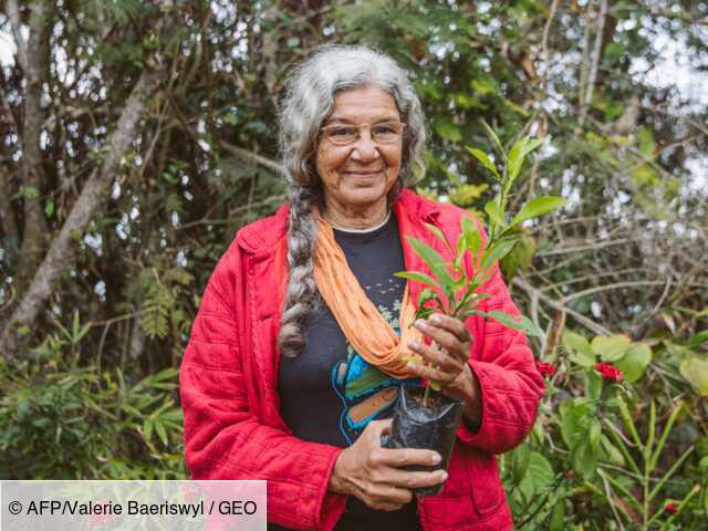 Jane Wynne, l'infatigable Haïtienne qui veut sauver la planète