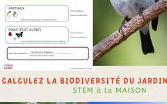 Science en plein air: la biodiversité expliquée aux enfants