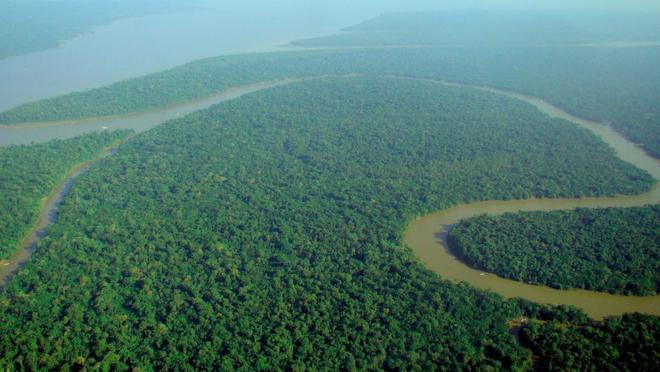 À cause des humains, l’Amazonie émet plus de gaz à effet de serre qu’elle n’en absorbe
