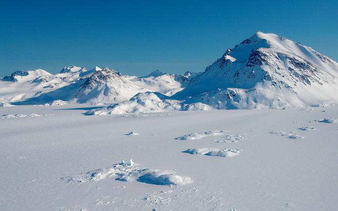 Stupéfaction chez les scientifiques avec la découverte de plantes sous la glace au Groenland