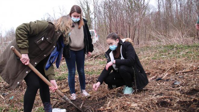 À Saint-Gobain, ils plantent un arboretum pour suivre l’adaptation d’essences habituées au climat chaud
