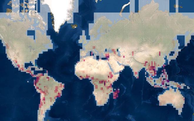 Une carte du monde où l'on pourrait trouver des espèces encore inconnues