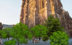 Végétalisation : 29 arbres seront plantés sur le parvis de la cathédrale début 2022