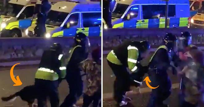 Lors d’une manif à Bristol, un chien policier mord un policier : « Il a fait ce qu’on lui a appris »