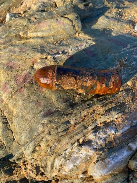 Aux Sables-d’Olonne, un obus découvert sur la plage de Sauveterre