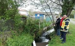 Hautes-Pyrénées : alerte pollution sur le cours d'eau, le Hournet, à Séméac