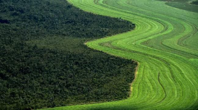 Déforestation : « Quand les Européens consomment, les forêts tropicales se consument », alerte le WWF
