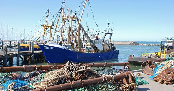 Pêche électrique : l'interdiction entre en vigueur le 1er juillet en Europe
