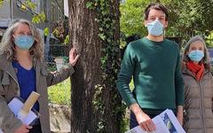 Île Verte à Grenoble : les opposants à un projet de construction demandent à modifier le PLUI