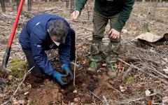 EURACTIV s’allie à Life Terra et à la SRFB pour planter des arbres dans le Brabant wallon