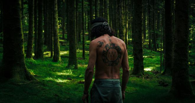 Maderando : un court-métrage qui respire la liberté et la forêt