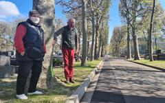 Boulogne-Billancourt : en sursis, les arbres du cimetière Pierre-Grenier seront abattus
