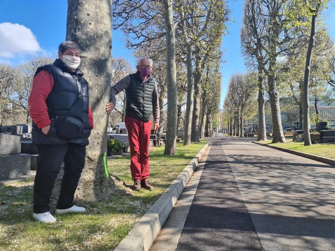 Boulogne-Billancourt : en sursis, les arbres du cimetière Pierre-Grenier seront abattus