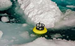 Arctique : des « bombes de chaleur » font fondre la glace