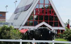 Haute-Garonne : Buffalo Grill recrute pour son nouveau restaurant à Fenouillet
