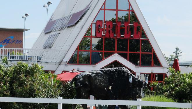 Haute-Garonne : Buffalo Grill recrute pour son nouveau restaurant à Fenouillet