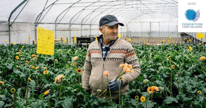 Fleurs d’Halage : cette association agit en faveur d’une horticulture urbaine durable et solidaire