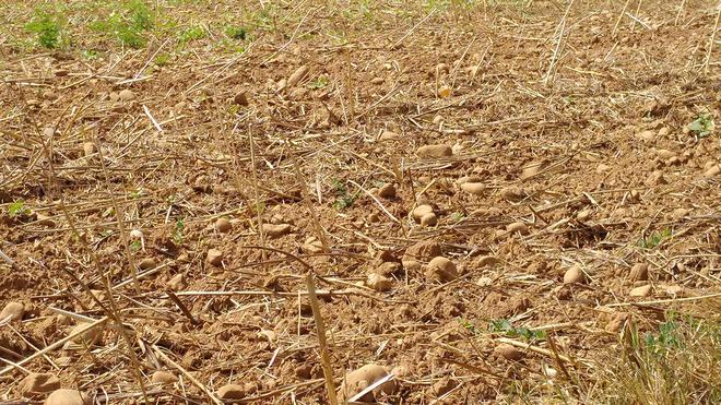 Sécheresses des sols : des restrictions pour Saint-Fons, Solaize, Feyzin, Corbas, Vénissieux et Mions