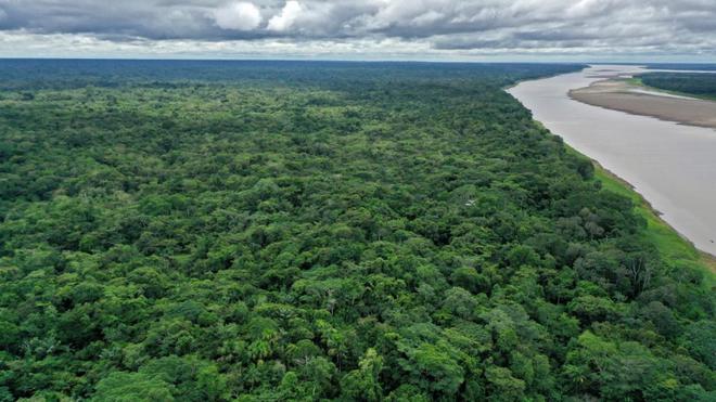 EN DIRECT - La forêt amazonienne brésilienne émet plus de carbone qu'elle n'en absorbe
