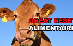 ???? GREAT RESET ALIMENTAIRE : VERS UN CHANGEMENT DE MODÈLE AGRICOLE
