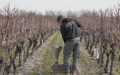 Viticulture, arboriculture : Une diversification pour Jacques Prévot artifices