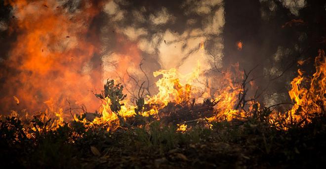 Etude sur le long terme des feux de forêts : des surprises