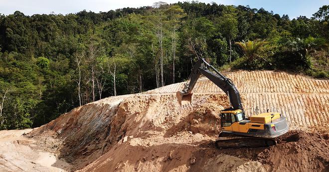 Guyane : une centrale à hydrogène va détruire 75 ha de forêt amazonienne avec la complicité de l’État français