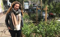 Environnement à Paris : «Les permis de végétaliser, un super outil de lien social !»