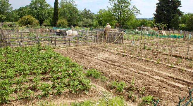 BAGNOLS/CÈZE Rendez-vous le samedi 29 mai pour la Journée des jardiniers amateurs