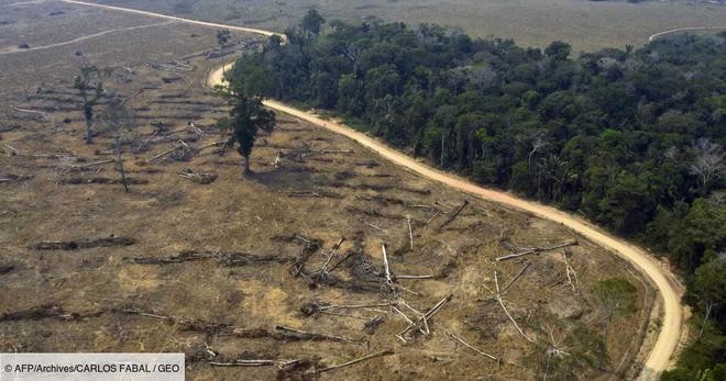 Brésil: 94% de la déforestation en Amazonie est illégale, selon un rapport