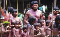 Brésil : des mineurs d’or lourdement armés persécutent par de violentes attaques le peuple Yanomami