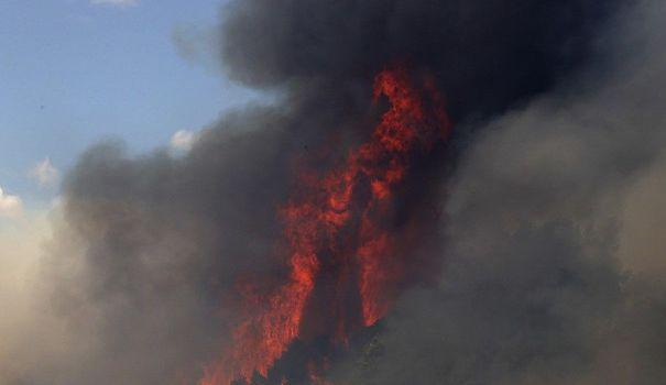 EN IMAGES. Grèce : un incendie ravage le massif Geraneia, une "catastrophe écologique"