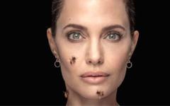 VIDÉO. Angeline Jolie couverte d’abeilles pour alerter sur la disparition des pollinisateurs