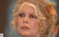 Brigitte Bardot absente à son procès : ce certificat médical qui interroge