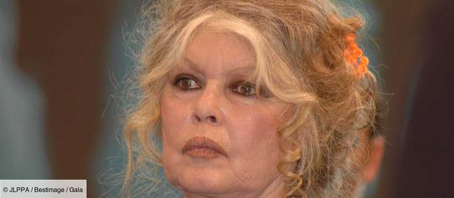 Brigitte Bardot absente à son procès : ce certificat médical qui interroge