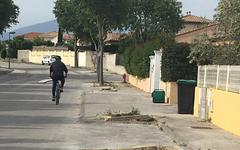 Pyrénées-Orientales - Arbres abattus à Ponteilla-Nyls :  "Couper les micocouliers, ça n'a pas de sens"