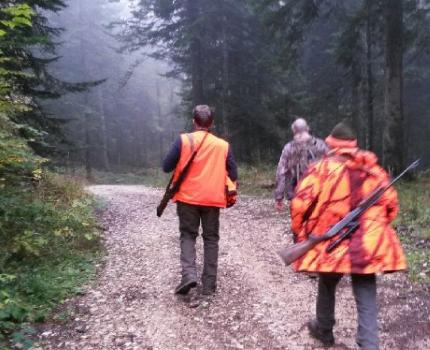 Une pétition en ligne demande l’interdiction de la chasse le mercredi et le dimanche
