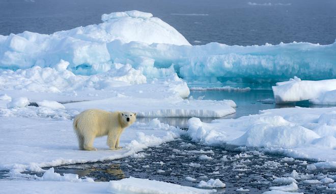 Une partie de la banquise arctique s’amincit deux fois plus vite qu’on ne le pensait auparavant