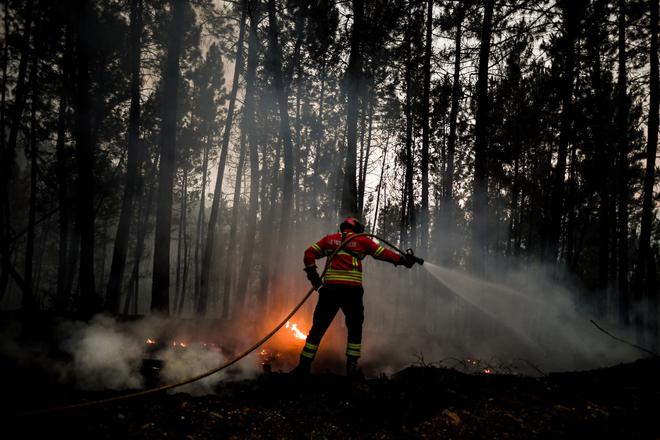 Environnement : comment prévenir les feux de forêt et s'en protéger ?