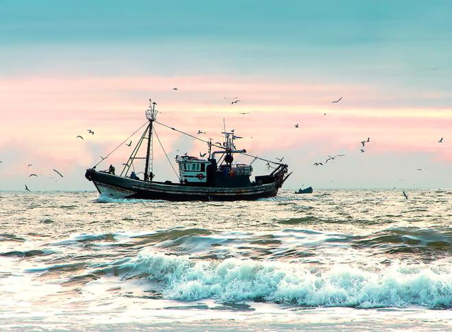 Brexit : 10 chiffres clés pour comprendre la pêche en Europe
