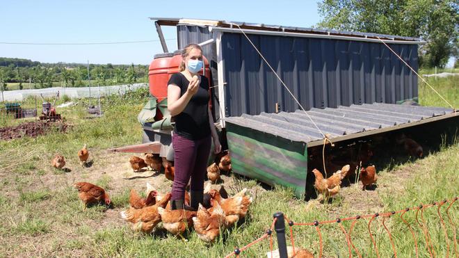 Agriculture et innovation : dans le pays de Bray, des agriculteurs toujours en quête de nouvelles pratiques