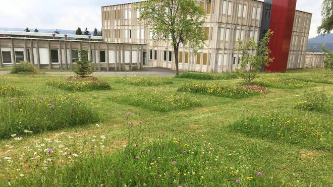 Vosges – Gérer autrement et changer son regard sur les espaces verts