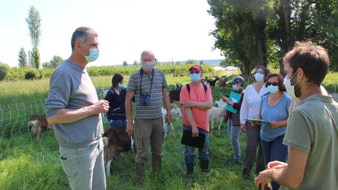 Biodiversité. Un concours pour valoriser les éleveurs avec le Parc des Boucles de la Seine normande