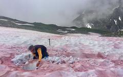 Neige rouge dans les Alpes : des scientifiques tentent de percer le mystère