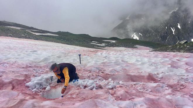 Neige rouge dans les Alpes : des scientifiques tentent de percer le mystère