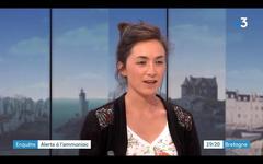 La Bretagne, malade de l’ammoniac. l’enquête de Splann !